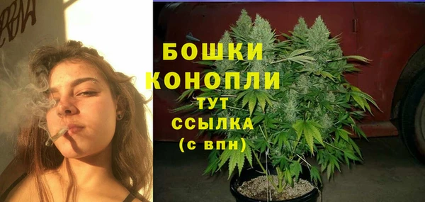 соль курить ск Белокуриха